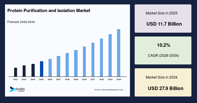 Protein Purification and Isolation Market Size