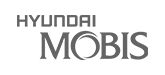 Hyundai Mobis